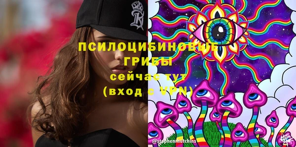 герыч Каменка